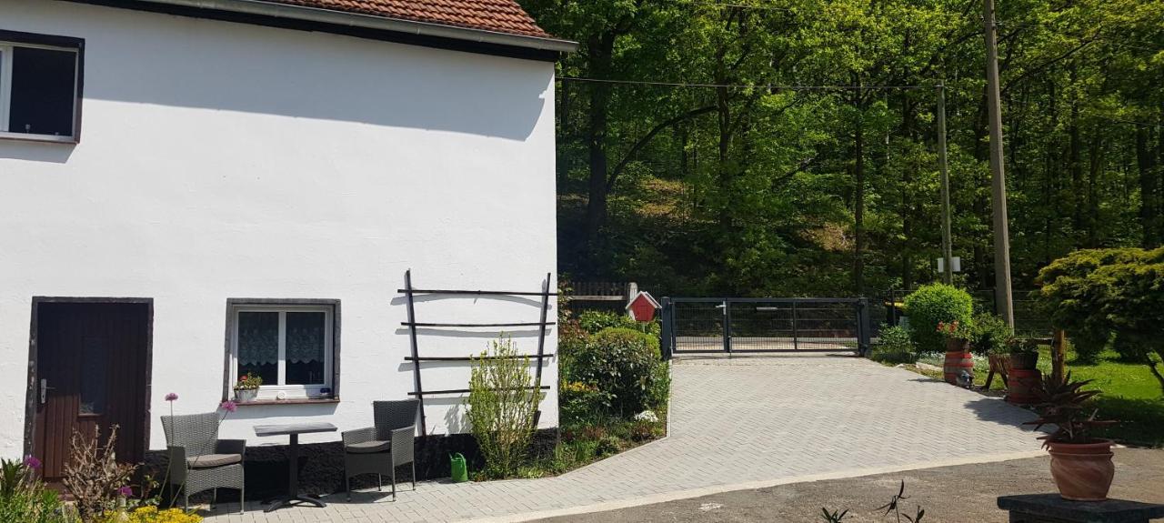 Mai Apartment Glauchau
